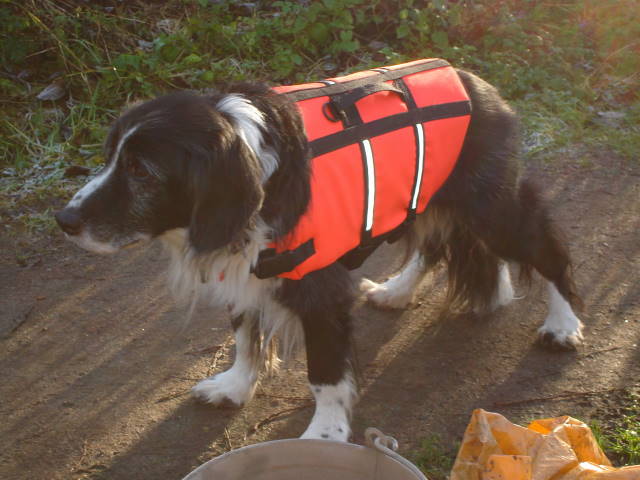 Roly in life vest