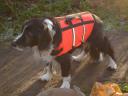 Roly in life vest