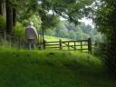 Ray and Jet through gate