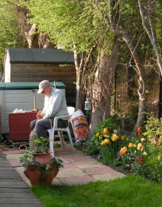 Fenders in the sunshine