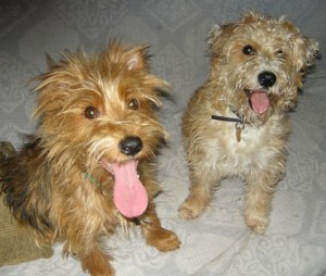 Charlie and Ellie with tongues